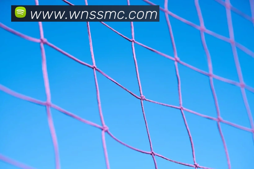 威尼斯人官网APP 体育赛事宣传图